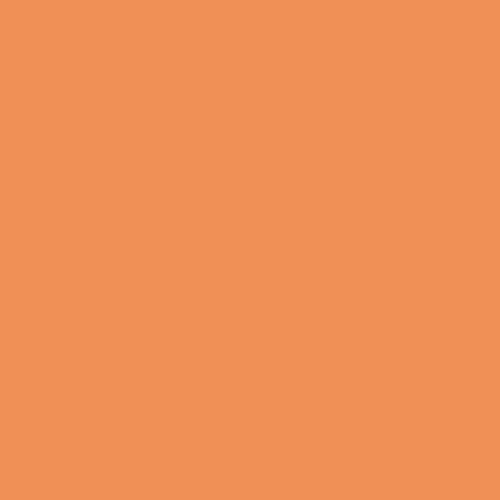 Chinese Lantern