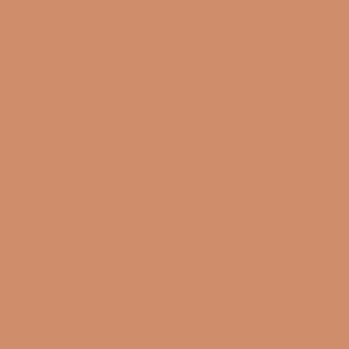 Cinnamon Brandy