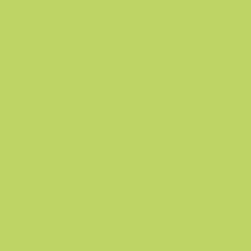 Glow Worm