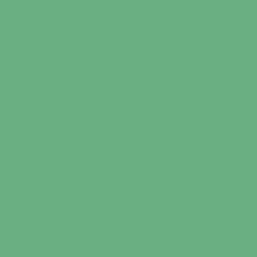 Garden Mint