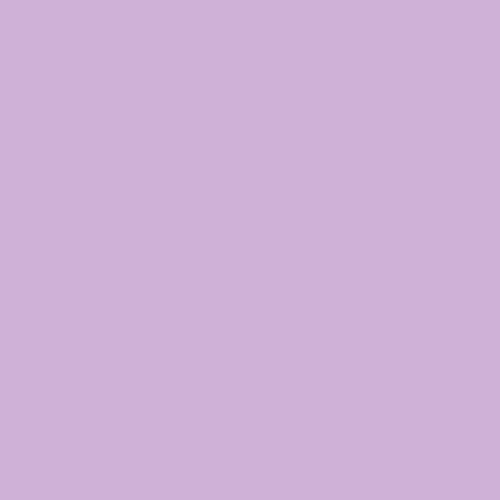 Sea Lavender