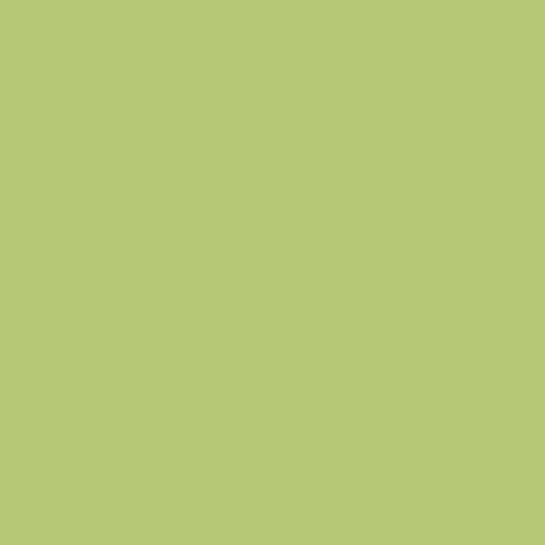 Fern Glow