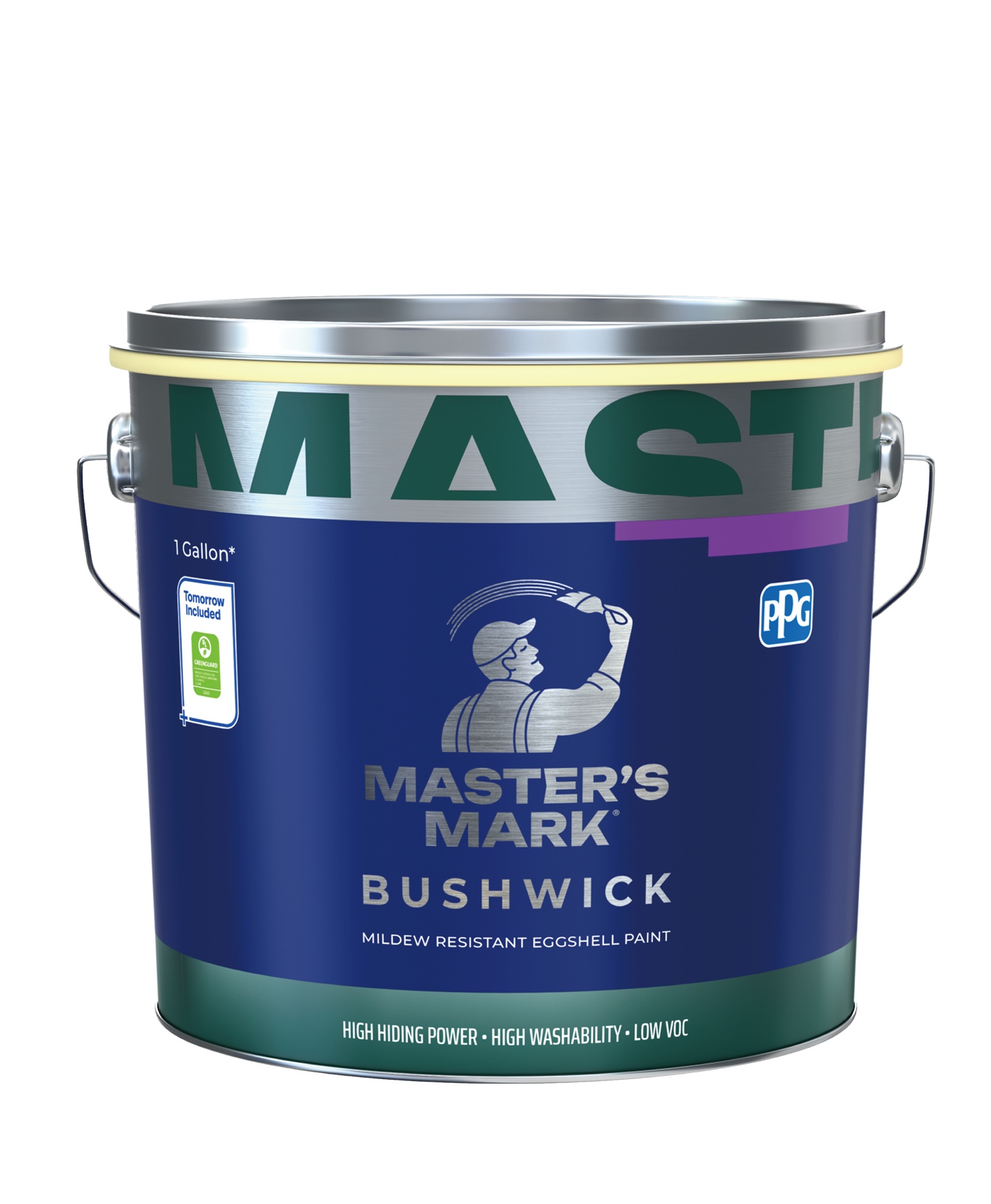 大师布什威防霉内墙蛋壳光乳胶漆